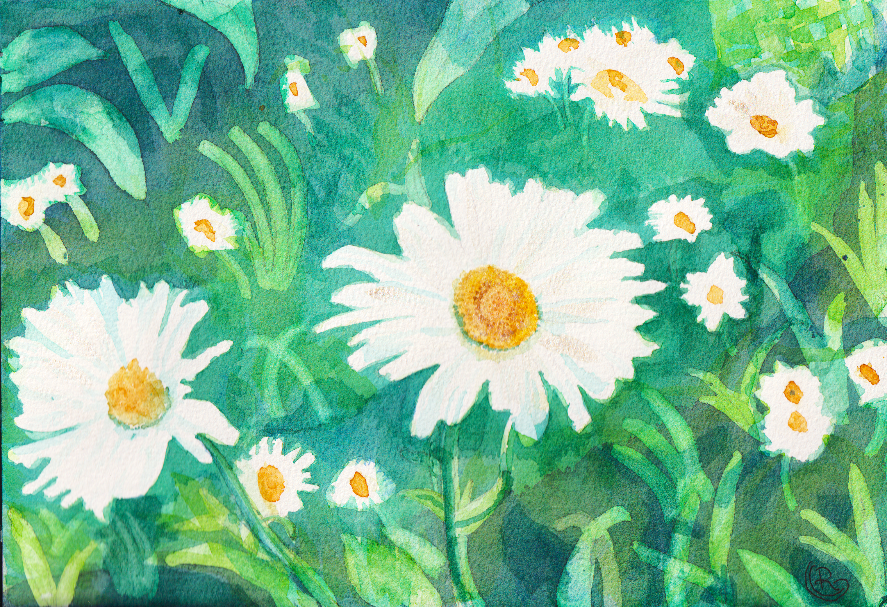 A deep green field decorated with white daisies