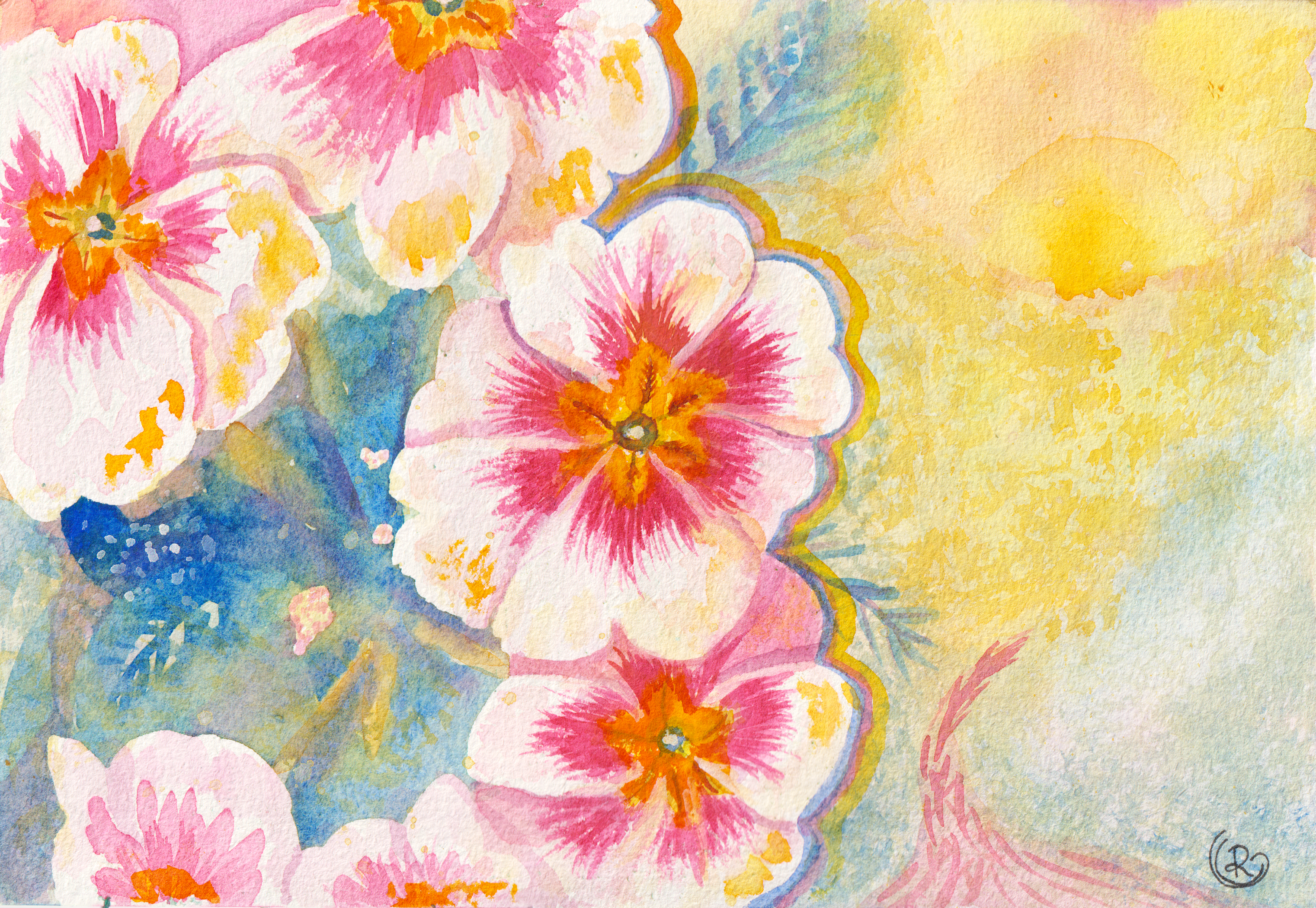 Colorful and fun white and pink primroses against an orange sky