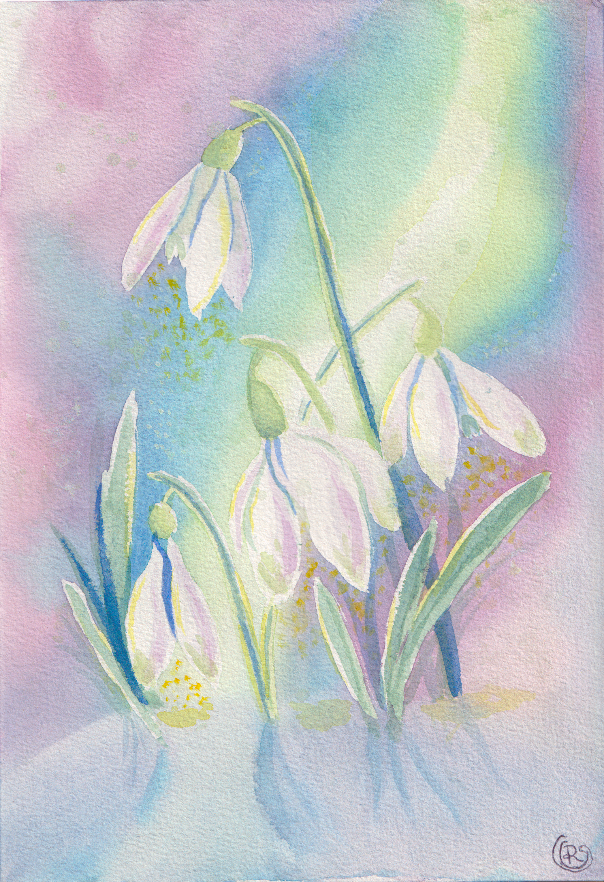 Ethereal pastel and white snow drops growing from the snow in front of a pastel aurora