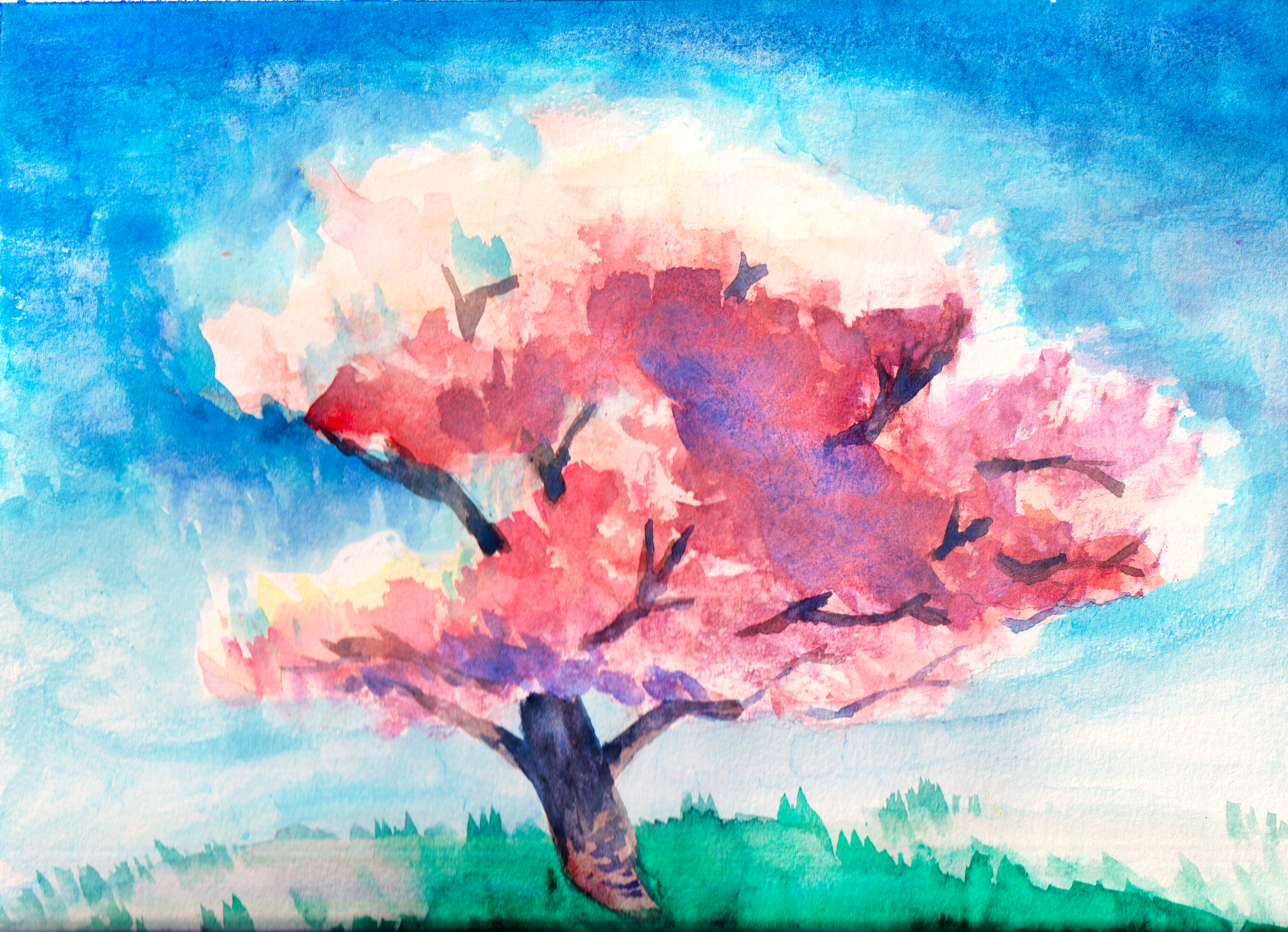 Single cherry tree on a cloudless day